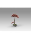 BUJIN-HI - BONSAI 45CM